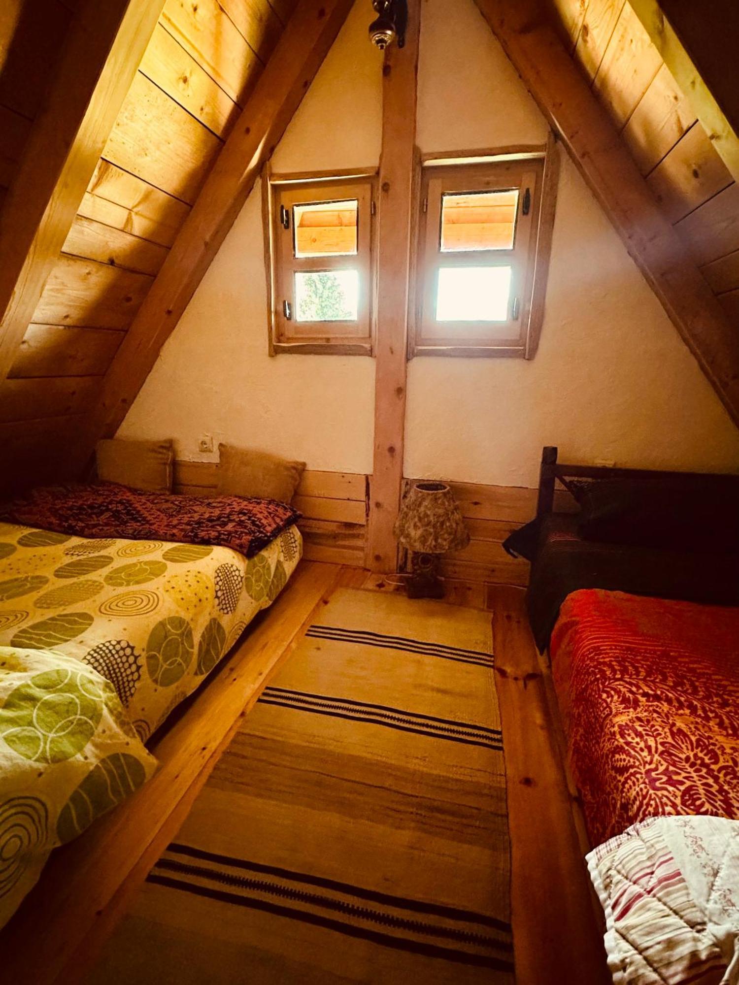 Mountain Story Apartment Žabljak 外观 照片