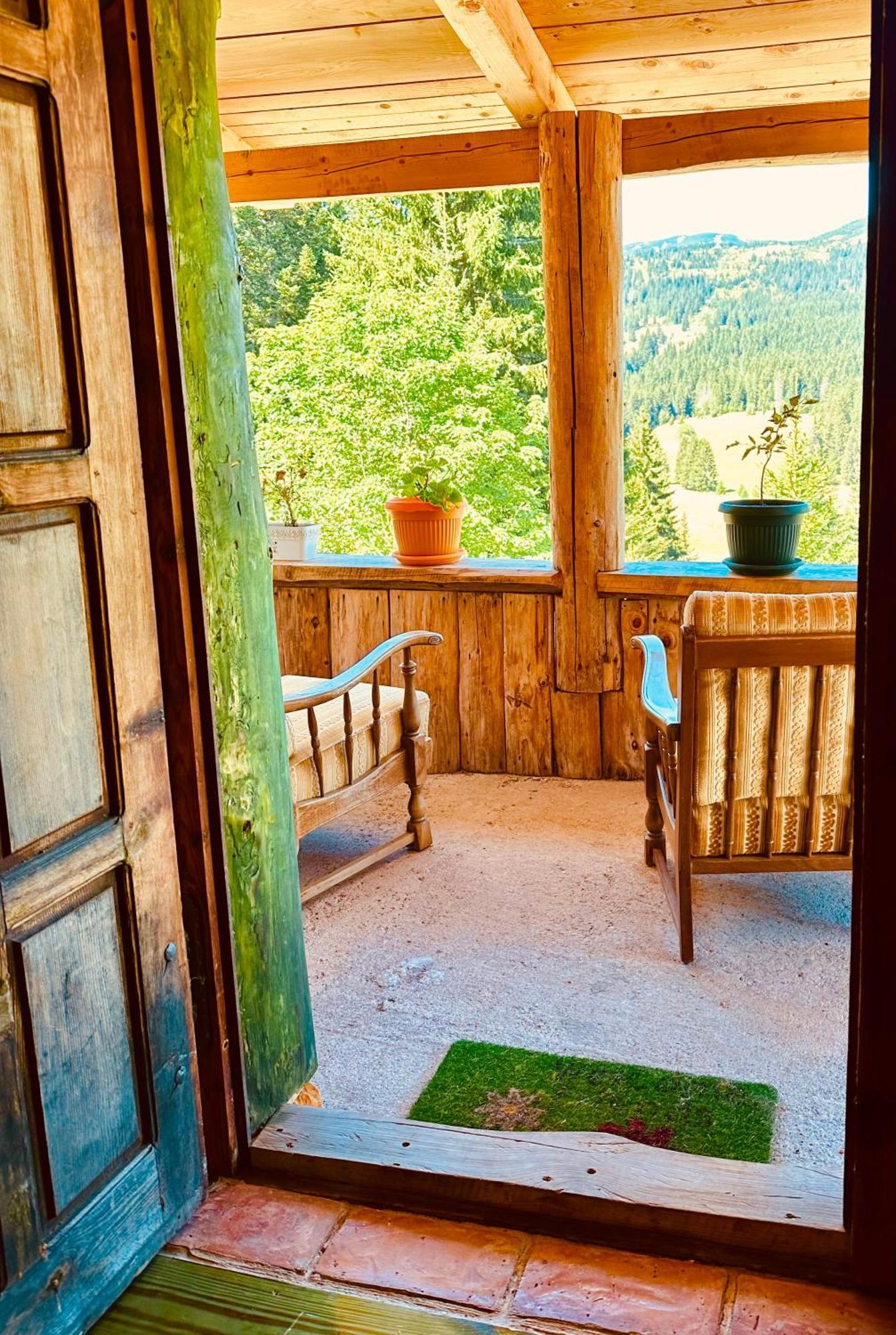Mountain Story Apartment Žabljak 外观 照片