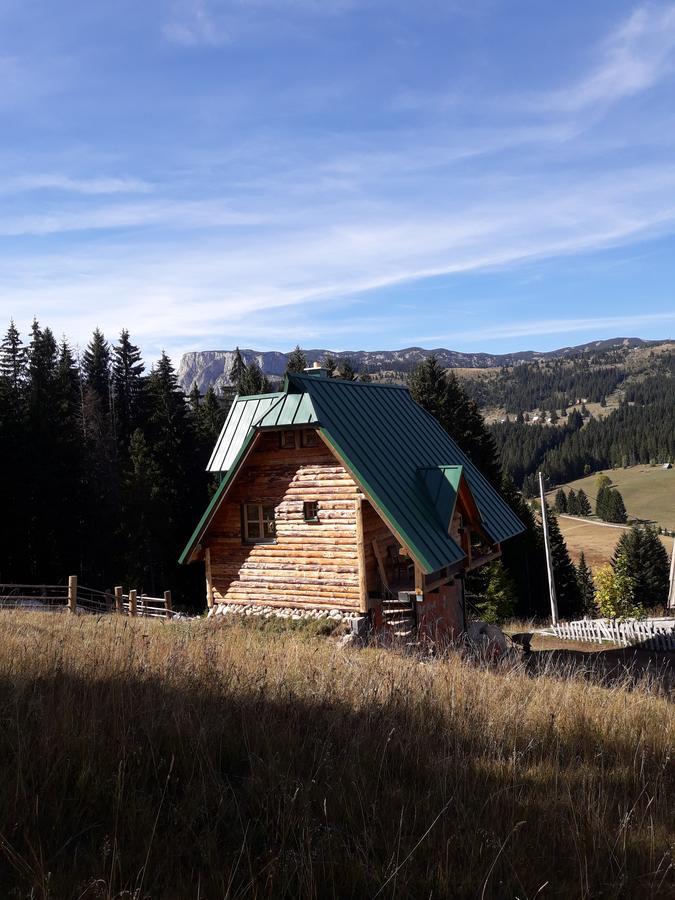 Mountain Story Apartment Žabljak 外观 照片