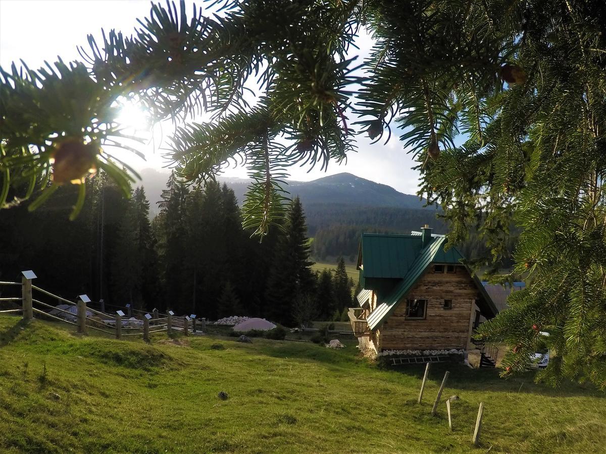 Mountain Story Apartment Žabljak 外观 照片